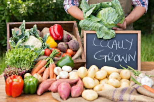 A sihouette of a person in light green color image